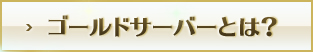 S[hT[o[Ƃ́H